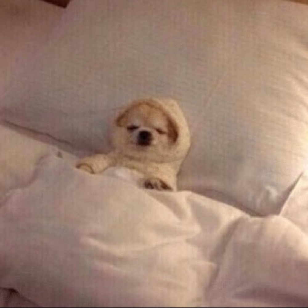 Meet your Posher, Cynthia